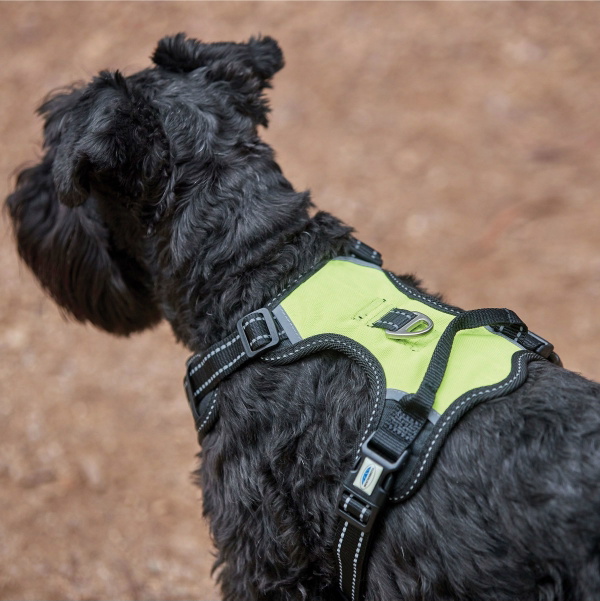 Weatherbeeta Anti Pull / Traveling Harness 1003617 - Yellow